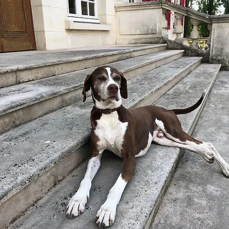 Le Domaine De Barbizon Gæstehus 4*